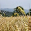 갈곡농장 이미지