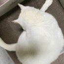 한성데코 이미지