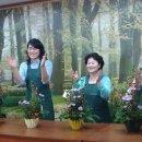 정심요양원 이미지