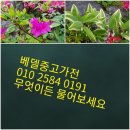 사림동115 이미지