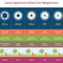 디지털 카메라 (DSLR) 100 활용하기 | 소니 a5100 미러리스 디카 일반 디카 차이 / 무보정 작례로 본 실제 후기