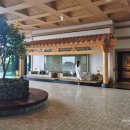 동상세탁 | [제주/서귀포] JW 메리어트 제주 리조트&amp;스파 파노라마 스위트 숙박 후기