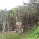 완산-46 이미지