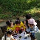 고인돌 유아숲체험원 이미지