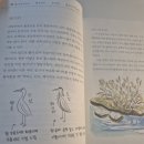 모퉁이별분식 | 3월 일상 - 봄이다 봄봄봄