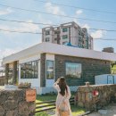 빈도롱이 이미지