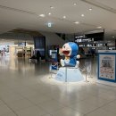 송영 | 홋카이도 신치토세-삿포로 공항 픽업 프라이빗 송영 솔직 후기