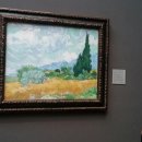 마네모네 이미지