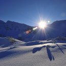 밝은행정사 이미지