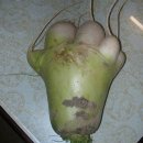 무념무상 이미지