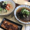 국수나무 이미지