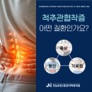 전농동정형외과, 허리를 숙이면 심해지는 통증 &#39;척추관협착증&#39; 원인과 증상은?