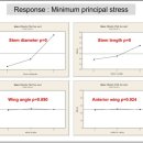연세새로운병원 이미지