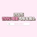 곡성-171 | 🌸 2025 전라도 벚꽃축제 &amp; 숨은 명소