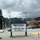 산사가는길 | [인제가볼만한곳] 백담사 가는길 셔틀버스 후기 + 사찰 감성여행 🌸🙏