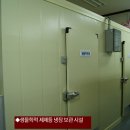 엘피스팜