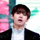 태형매점
