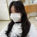 부일로C 이미지