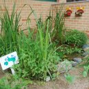 서울은빛초등학교 이미지