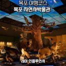 갓바위지구 광장 | 목포 당일치기 여행코스 아이랑 갈만한곳 목포 자연사박물관