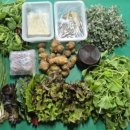 희숙농장 이미지