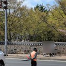 김밥여행 | 경주여행 필수코스 교리김밥 본점 후기, 벚꽃 보며 먹는 김밥 맛집