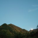 오지닭 이미지