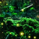 청수농촌체험휴양마을 이미지