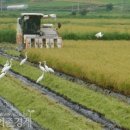 죽암농장 이미지