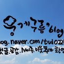 수앤토리