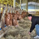 김선태농장 이미지