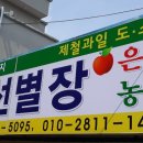 은석농장 네이버블로그