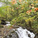 방태산 가는 길 | 강원도 인제 방태산 등산코스 (자연휴양림 주차장~매봉령~구룡덕봉~주억봉 정상)