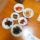 정마루호박꽃 | 포천 정마루 호박꽃 후기....