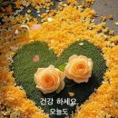 런투유 이미지