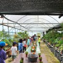 죽청농장 이미지