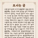 홍담채 이미지