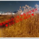 일일모텔 이미지