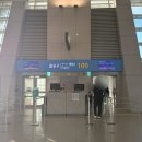 도쿄 3박4일 여행 내돈내산 1일차: 에어서울, 렌트카, ISHIKAWA PA, 스탠다드포인트, 후지산쇼쿠팡...