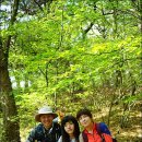 대장금마실길(4코스) 이미지