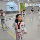 강동태권도 이미지