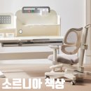 7세 책상 추천 소르니아 책상 솔직후기 장단점