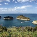 대자연민박 이미지