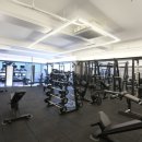 비비드 휘트니스 이미지