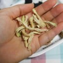 다시 - 서귀포시 일주동로 5210 | 다시