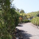 우리들 랜드 이미지