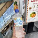 카에이프 | 260621 [일본 교토] Tendon Restaurant Loosen Up!, 빔즈 재팬 기온, 야사카 신사, 니넨자카, 산넨자카...
