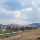 익금2교 이미지