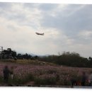 엔제리너스이호테우해변로점 | 제주 숨은 명소 무료관광 사계절 가기 좋은 제주도 꽃 명소