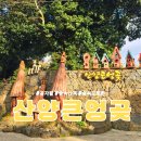 서윤의숲길 | 제주 한경면 숲속 산책부터 기찻길 포토존까지 다양한 놀거리 산양큰엉곶 (+사진꿀팁)